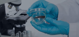 L-Carnitine Tartrate Promotes Hair Growth